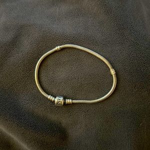 Pandora charm bracelet